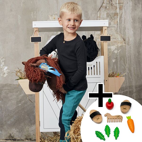 Hobby Horse + Zubehör (Set) – Bild 1