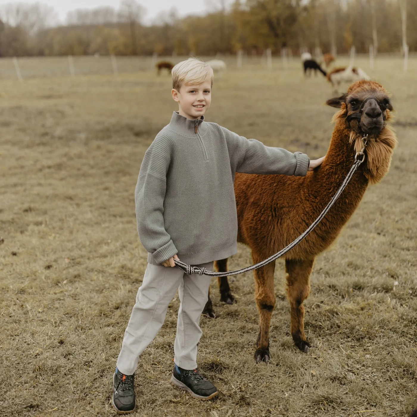 Chunky Knit Half-Zip Pullover (green) – Bild 1