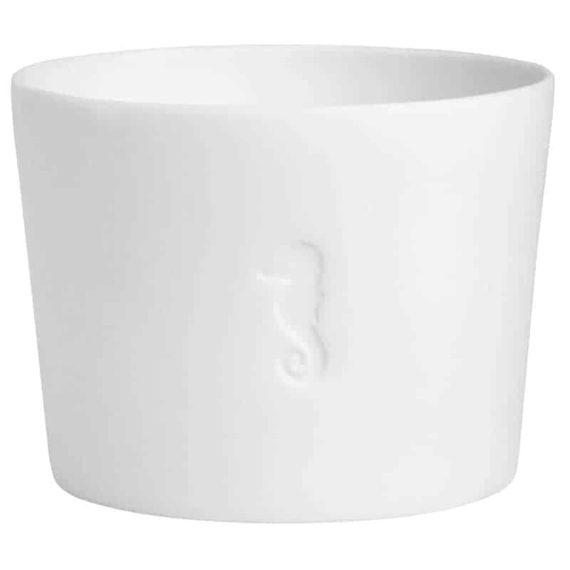 Meerlicht "Seepferdchen" – Bild 1