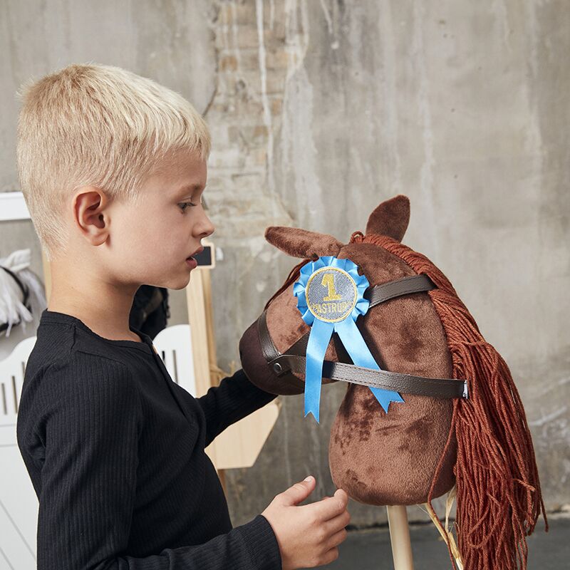 rosettes5 Siegerschleifen für die Hobby Horses (2er-Set) – Bild 1