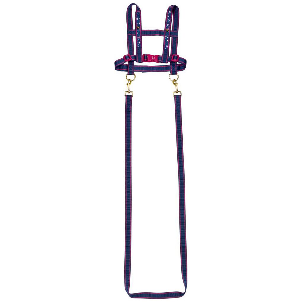 4029753138132_1920x1920 Pferdeleine "Pferdefreunde" – Bild 1