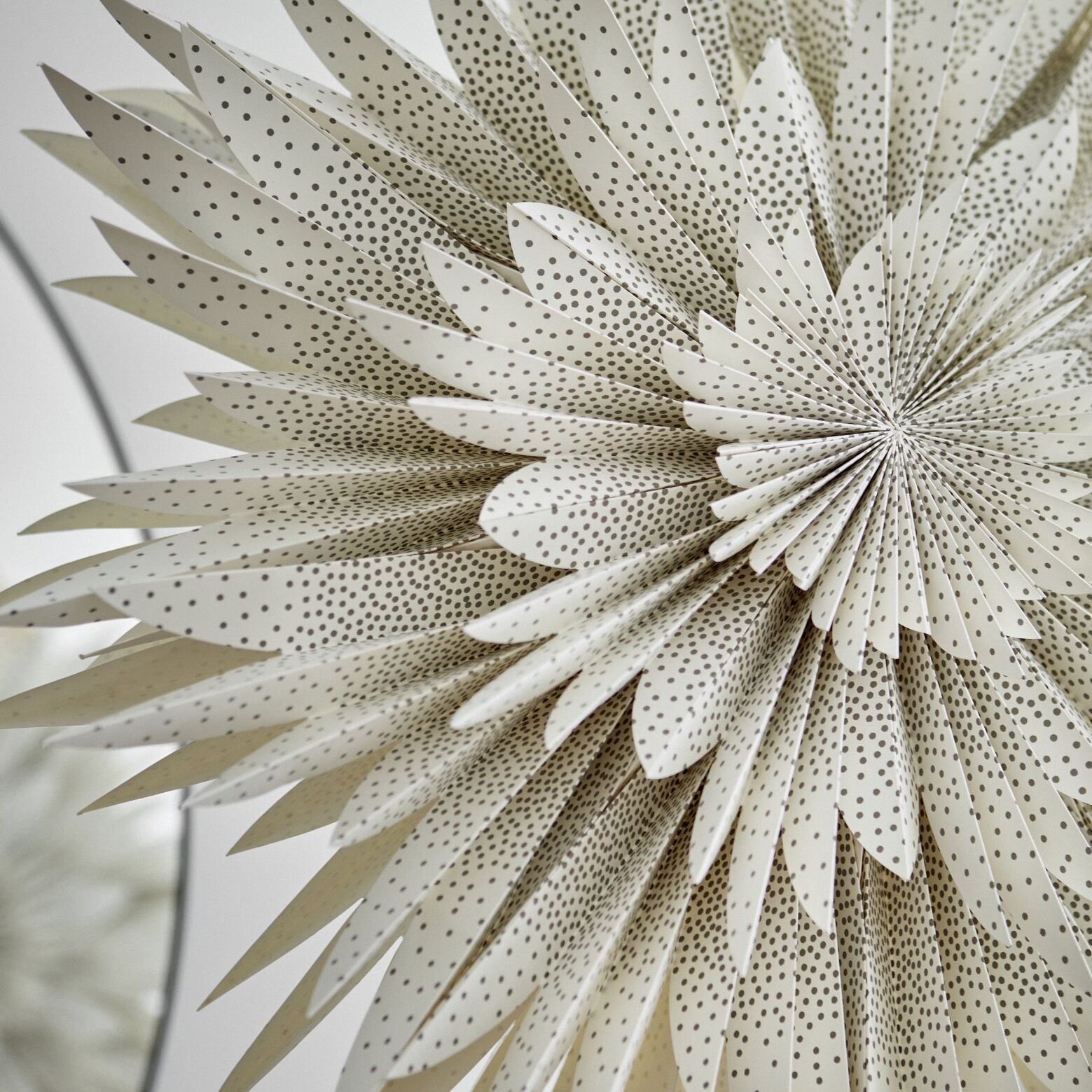 Papierstern "Draco" (Off White, 64 cm) – Bild 1