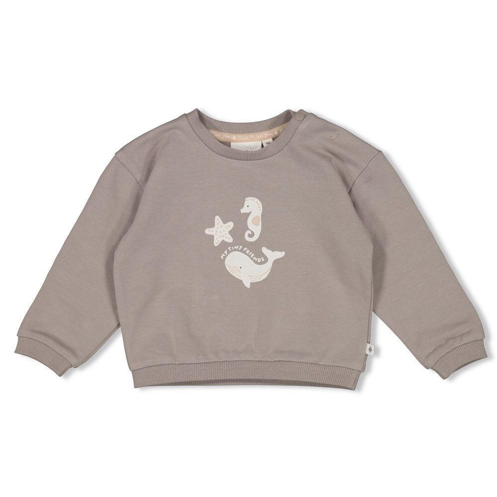 S2612_51602691_650_1 Sweater Oversized - Sea Sweeties (Grau)