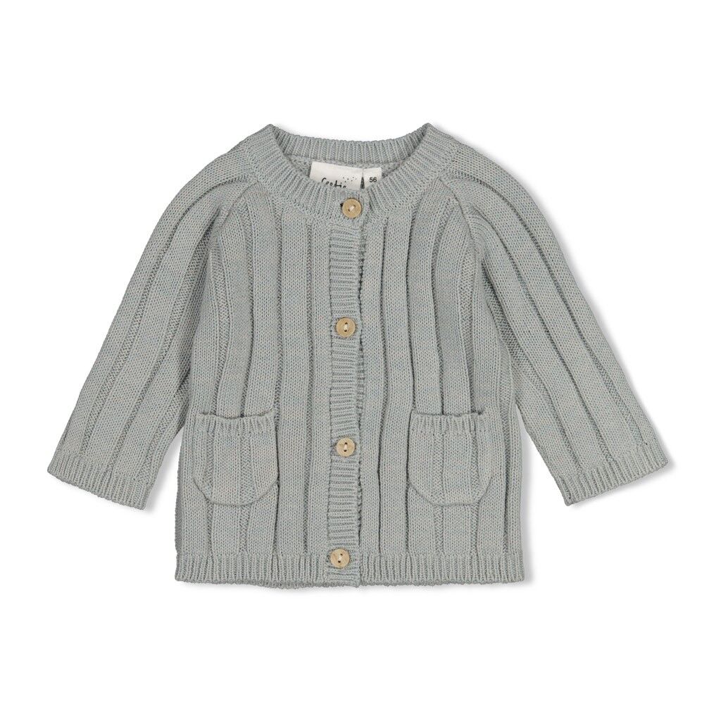 W2611_51300563_322_1 Strickjacke Penguin Cuddles (Mint Melange)