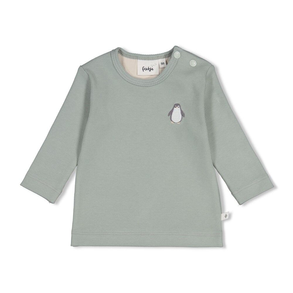W2611_51602792_327_1 Geripptes Longsleeve Penguin Cuddles (Seegrün)