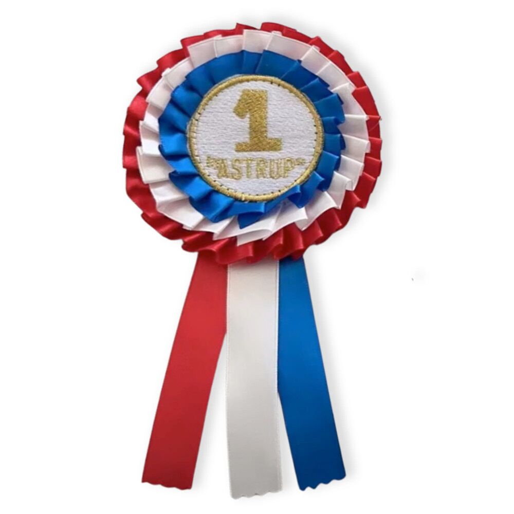 Siegerschleife "1" für die Hobby Horses – Bild 1