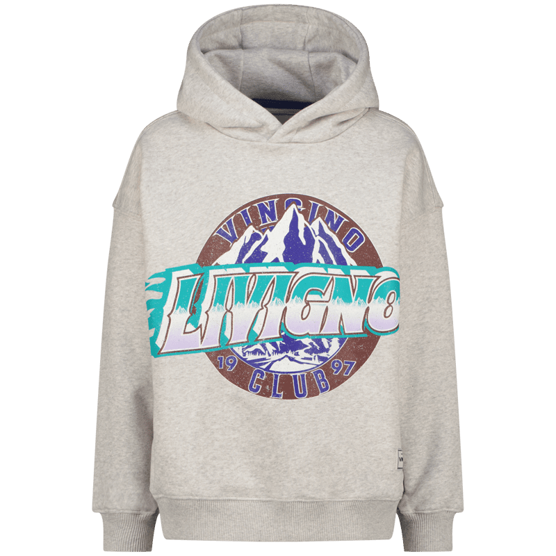 Hoodie Noldi, Fearless grey melee von Vingino – Bild 1