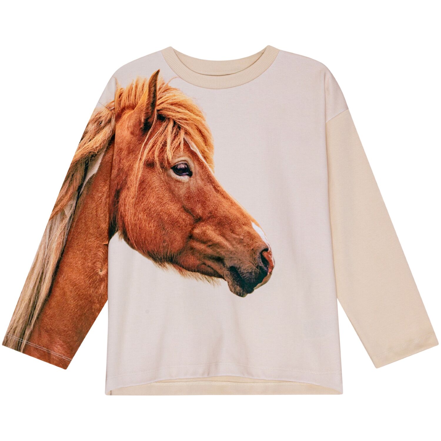 2W24J213_3662 Sweatshirt Mountoo (Pony Friend) – Bild 1
