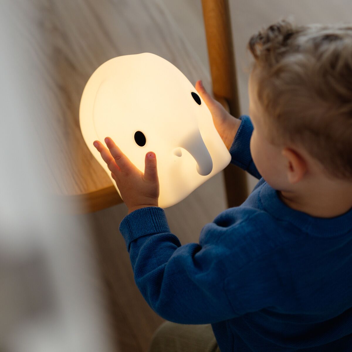 ELEPHANT -MrMaria-LR_03 Nachtlicht "Elephant" (First Light) – Bild 1