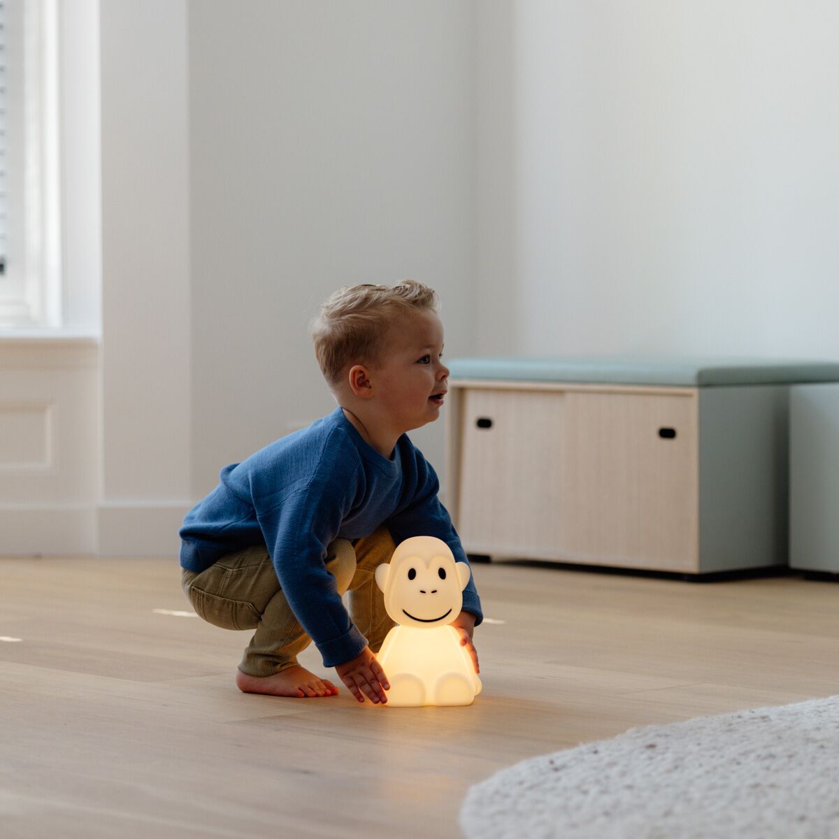 MONKEY -MrMaria-LR_02 Nachtlicht "Monkey" (First Light) – Bild 1