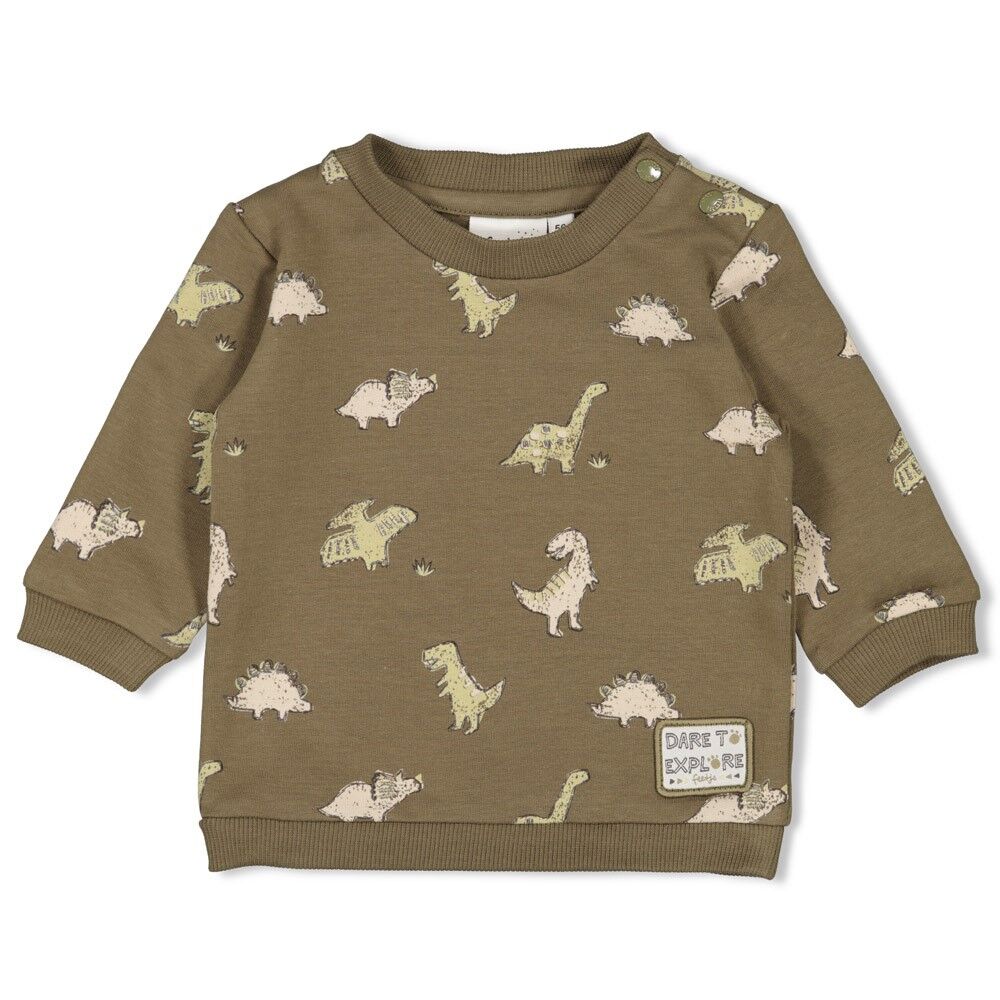 W2516_51602614_315_1 Sweater AOP - Rawrsome (Olive) – Bild 1