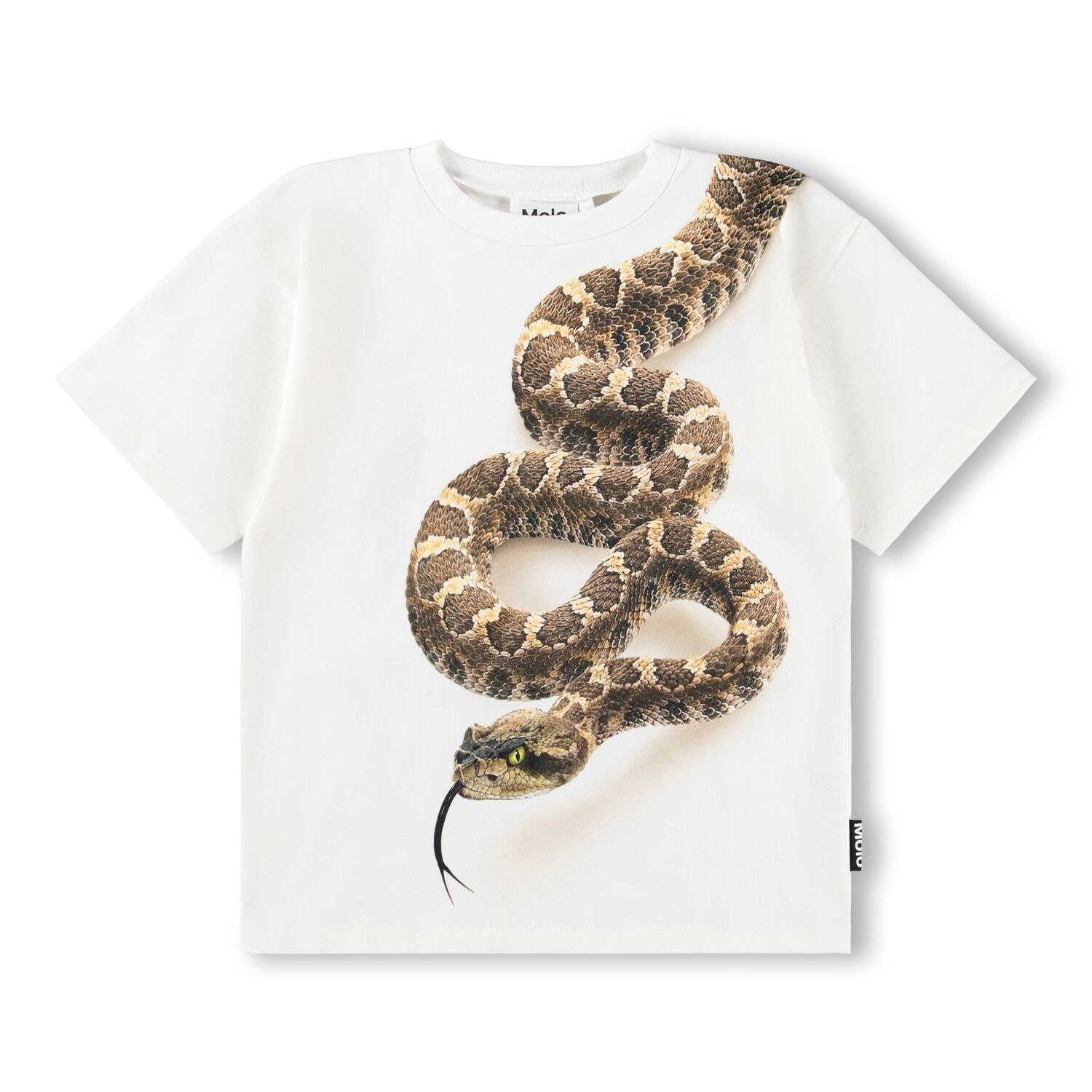 1S26A218_9877 T-Shirt Short Sleeves Rillo (Rattle Snake) – Bild 1